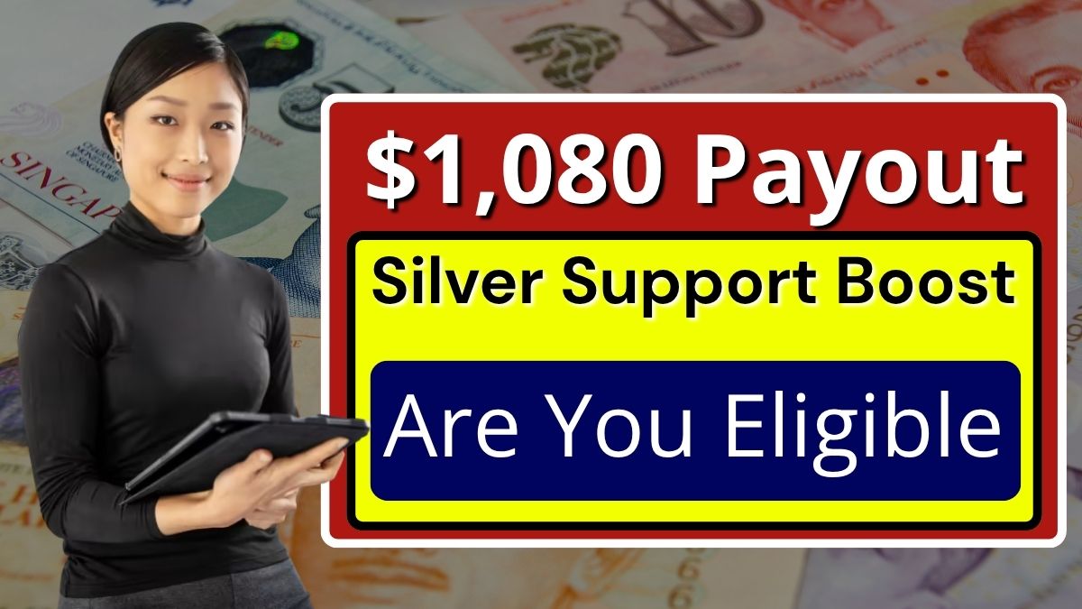 Silver Support Boost