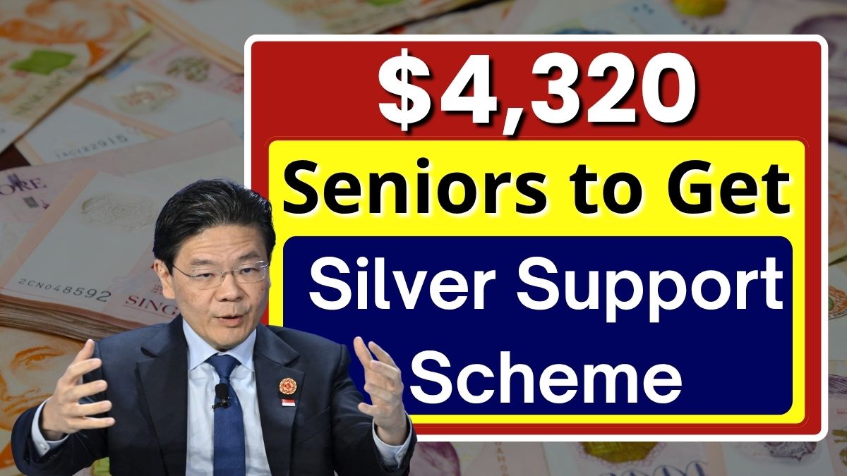 Silver Support Scheme